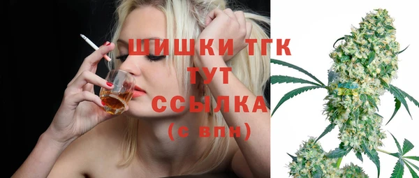 индика Абдулино