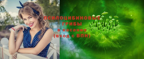 индика Абдулино