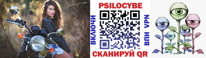 дарк нет Telegram  Болгар  Галлюциногенные грибы Cubensis  сколько стоит 